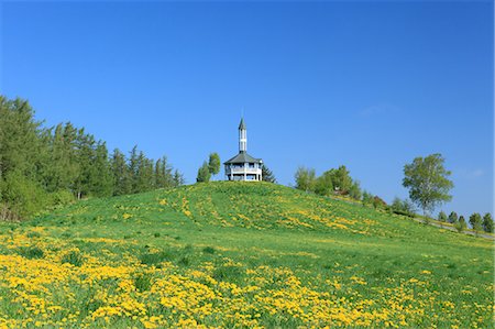 Grassland, Hokkaido Stockbilder - Premium RF Lizenzfrei, Bildnummer: 622-06487820
