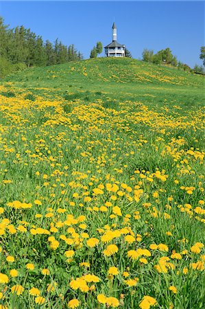 Grassland, Hokkaido Stockbilder - Premium RF Lizenzfrei, Bildnummer: 622-06487821