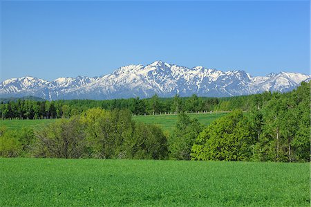 simsearch:622-07811152,k - Grassland and mountains, Hokkaido Foto de stock - Royalty Free Premium, Número: 622-06487832