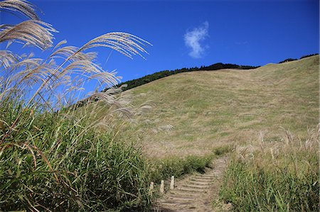 simsearch:622-06487846,k - Grassland at Soni Plateau, Nara Prefecture Fotografie stock - Premium Royalty-Free, Codice: 622-06487846