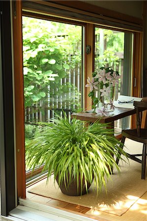 Japanese style room facing a garden Stock Photo - Premium Royalty-Free, Code: 622-06548684