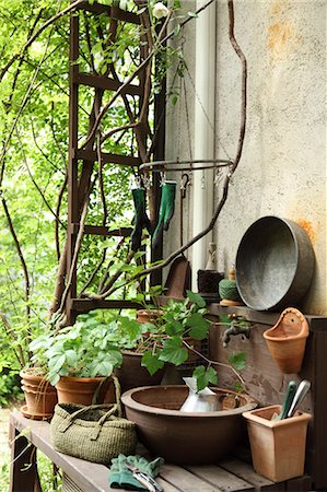 potted - Plants and gardening tools Foto de stock - Sin royalties Premium, Código: 622-06548683