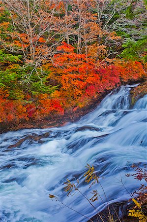 simsearch:622-06549009,k - Ryuzu Waterfall, Tochigi Prefecture Foto de stock - Royalty Free Premium, Número: 622-06548977
