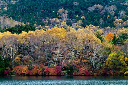 simsearch:622-06548978,k - Autumn colors at Lake Yuno, Tochigi Prefecture Fotografie stock - Premium Royalty-Free, Codice: 622-06548979