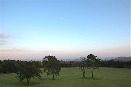 Grassland at dusk, Tochigi Prefecture Stock Photo - Premium Royalty-Free, Code: 622-06548986