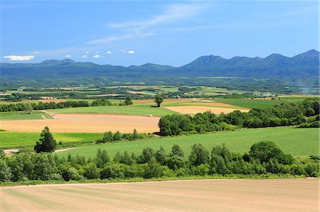 Biei countryside, Hokkaido Stockbilder - Premium RF Lizenzfrei, Bildnummer: 622-06549242