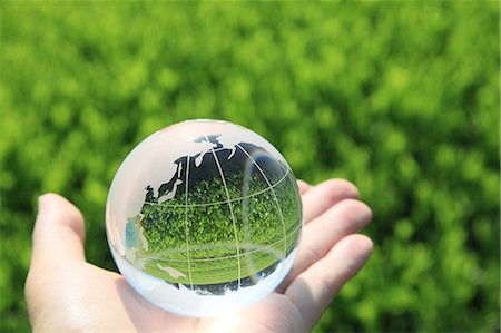 plantación de té - Glass globe Foto de stock - Sin royalties Premium, Código: 622-06549272