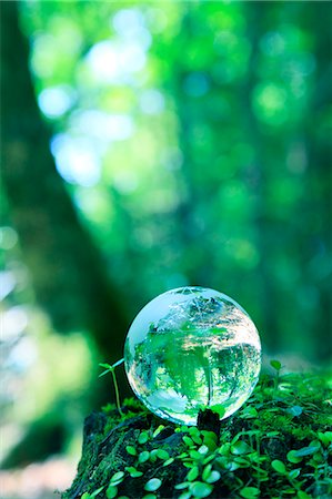 Glass globe Photographie de stock - Premium Libres de Droits, Code: 622-06549307