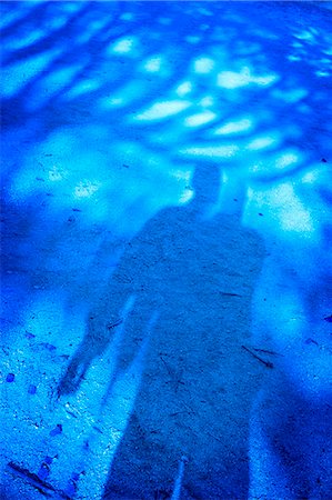 filtered - Shadows of trees and people on the ground Stock Photo - Premium Royalty-Free, Code: 622-06549499