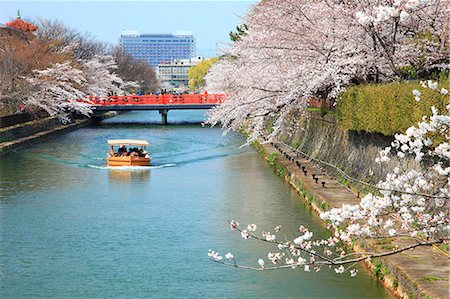 Cherry blossoms over canal, Kyoto Stock Photo - Premium Royalty-Free, Code: 622-06809089