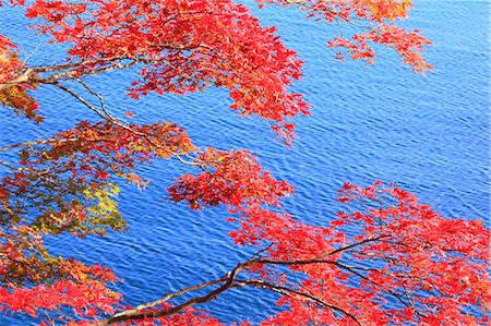 Maple leaves and Towada lake, Akita Prefecture Foto de stock - Sin royalties Premium, Código: 622-06809514