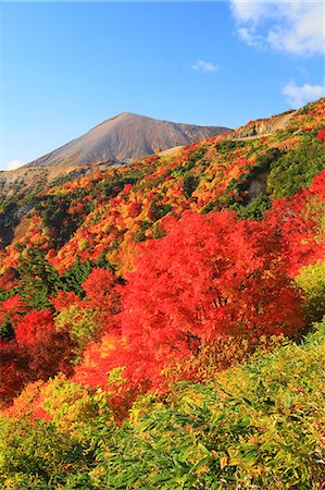 simsearch:622-06487540,k - Autumn at Tengu garden, Fukushima Prefecture Fotografie stock - Premium Royalty-Free, Codice: 622-06809530