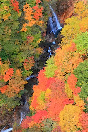 Autumn leaves and water stream Stock Photo - Premium Royalty-Free, Code: 622-06809532