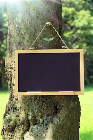 pizarra - Blackboard hanging on a tree in the forest Foto de stock - Sin royalties Premium, Código: 622-06809716