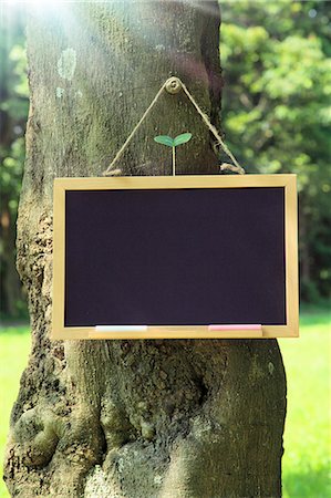 Blackboard hanging on a tree in the forest Photographie de stock - Premium Libres de Droits, Code: 622-06809716