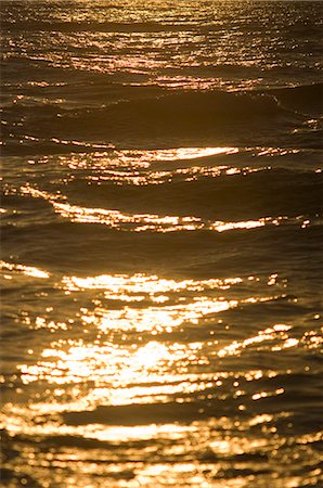 paillette - Golden sea Photographie de stock - Premium Libres de Droits, Code: 622-06841975