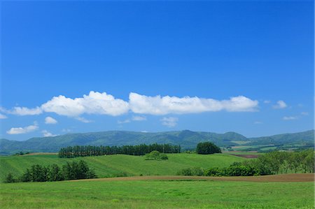 Grassland and blue sky with clouds, Hokkaido Photographie de stock - Premium Libres de Droits, Code: 622-06842382