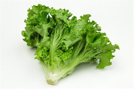 silhouette (photo) - Leaf lettuce Photographie de stock - Premium Libres de Droits, Code: 622-06842423
