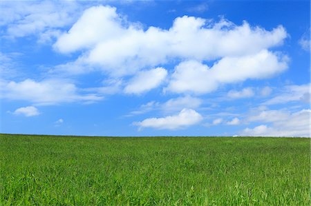 summer grass - Grassland and blue sky with clouds, Hokkaido Stock Photo - Premium Royalty-Free, Code: 622-06842450