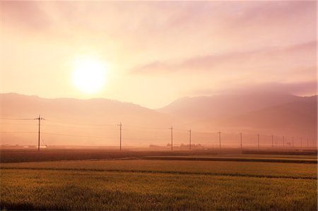 sun over farm field - Countryside at summer, Yamanashi Prefecture Stock Photo - Premium Royalty-Free, Code: 622-06842638