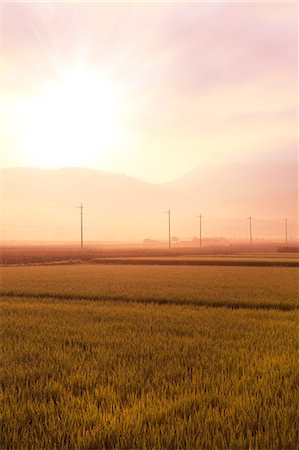 Countryside at summer, Yamanashi Prefecture Foto de stock - Royalty Free Premium, Número: 622-06842639