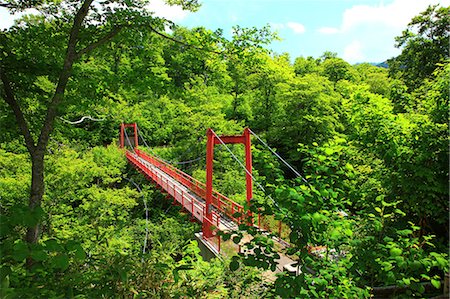 suspended - Red suspension bridge in Shimamaki, Hokkaido Stock Photo - Premium Royalty-Free, Code: 622-06900065