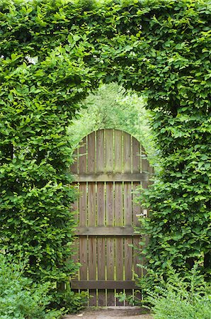 Trees and wooden door Photographie de stock - Premium Libres de Droits, Code: 622-06900087