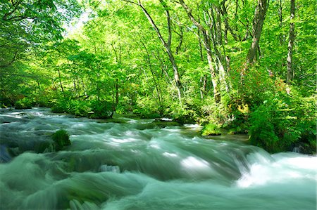 Oirase mountain stream, Aomori Prefecture Foto de stock - Sin royalties Premium, Código: 622-06900220