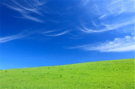 simsearch:622-07811152,k - Grassland and sky with clouds, Hokkaido Foto de stock - Royalty Free Premium, Número: 622-06900549