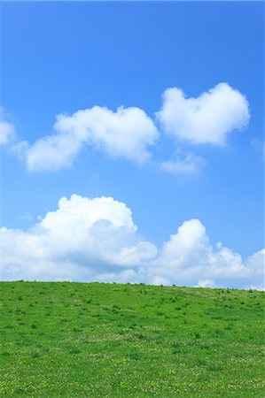 Grassland and sky with clouds, Hokkaido Fotografie stock - Premium Royalty-Free, Codice: 622-06900542