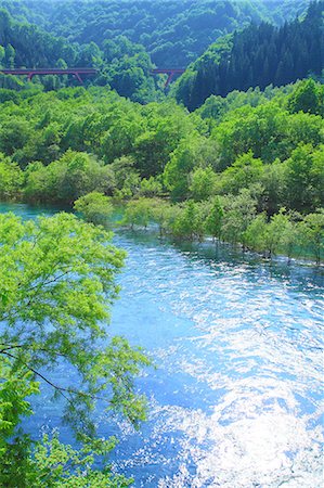 forest top angle - Tama river, Akita Prefecture Stock Photo - Premium Royalty-Free, Code: 622-06900571