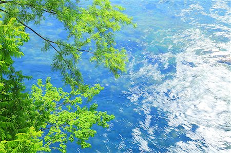 Green leaves and water stream Photographie de stock - Premium Libres de Droits, Code: 622-06900572