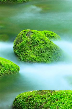 Moss and water stream Foto de stock - Sin royalties Premium, Código: 622-06900595