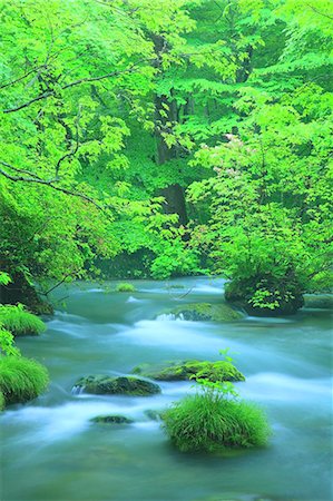 stream - Oirase Mountain Stream, Aomori Prefecture Stock Photo - Premium Royalty-Free, Code: 622-06900596
