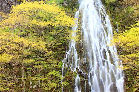 simsearch:622-07108375,k - Taru waterfall, Nagano Prefecture Fotografie stock - Premium Royalty-Free, Codice: 622-07108375