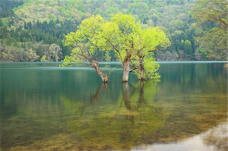 Lake Hokuryu, Nagano Prefecture Stock Photo - Premium Royalty-Free, Code: 622-07108377