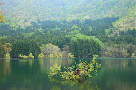 simsearch:622-07108375,k - Lake Hokuryu, Nagano Prefecture Fotografie stock - Premium Royalty-Free, Codice: 622-07108378
