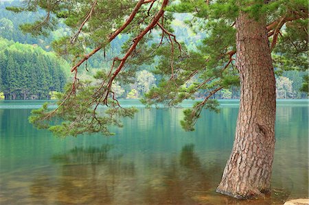 simsearch:622-07108375,k - Lake Hokuryu, Nagano Prefecture Fotografie stock - Premium Royalty-Free, Codice: 622-07108379