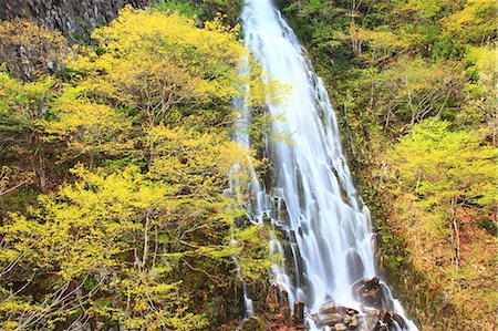 simsearch:622-07108375,k - Taru waterfall, Nagano Prefecture Fotografie stock - Premium Royalty-Free, Codice: 622-07108373