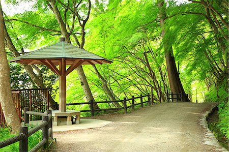 summerhouse - Greenery, Aichi Prefecture Photographie de stock - Premium Libres de Droits, Code: 622-07108394