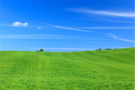 sky cloud tree field not storm not africa not people not building not city - Grassland and sky, Hokkaido Stock Photo - Premium Royalty-Free, Code: 622-07108755