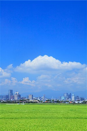 Rice field and Sendai cityscape, Miyagi Prefecture Stock Photo - Premium Royalty-Free, Code: 622-07108780