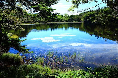 Shiretoko five lakes, Hokkaido Stock Photo - Premium Royalty-Free, Code: 622-07117629