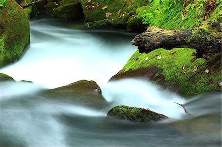 Oirase mountain stream, Aomori Prefecture Photographie de stock - Premium Libres de Droits, Code: 622-07117647