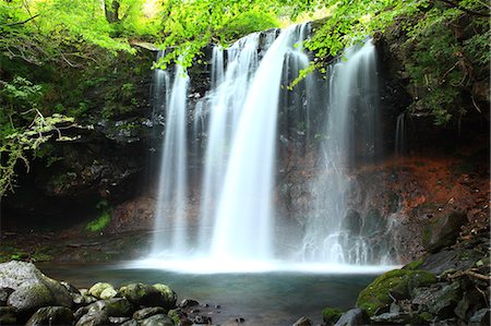 Otome waterfall, Tochigi Prefecture Stock Photo - Premium Royalty-Free, Code: 622-07117658