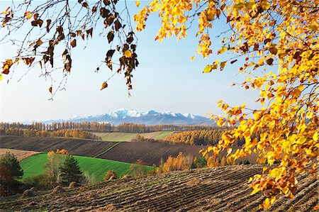 elevated view of lawnmower - Mount Ashibetsu and Biei countryside, Hokkaido Stock Photo - Premium Royalty-Free, Code: 622-07117749