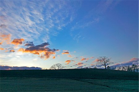 simsearch:622-07117751,k - Morning glow in Biei countryside, Hokkaido Foto de stock - Royalty Free Premium, Número: 622-07117742