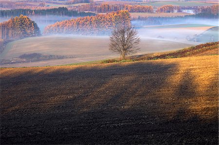 shadow sunlight - Sunrise in Biei, Hokkaido Stock Photo - Premium Royalty-Free, Code: 622-07117750