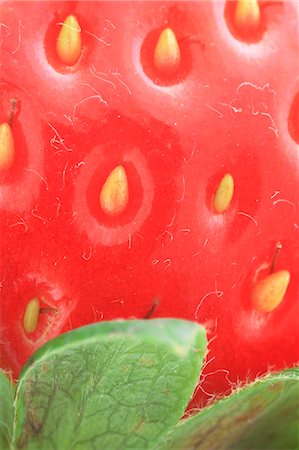 fresh strawberry - Strawberry Stock Photo - Premium Royalty-Free, Code: 622-07117967