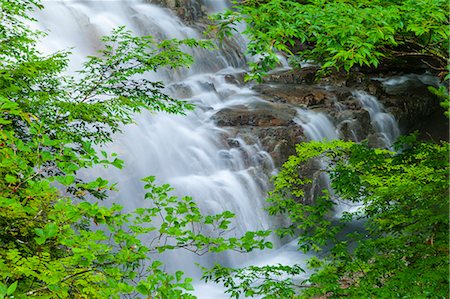 simsearch:622-07108959,k - Shakunage waterfall, Gunma Prefecture Stock Photo - Premium Royalty-Free, Code: 622-07118031